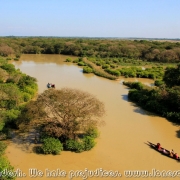 Ratargul Swamp Forest_20